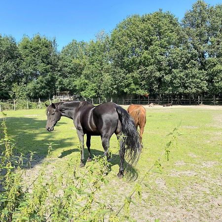 Pipowagen Het Oventje Villa Zeeland Bagian luar foto