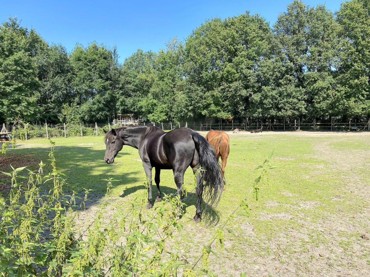 Pipowagen Het Oventje Villa Zeeland Bagian luar foto